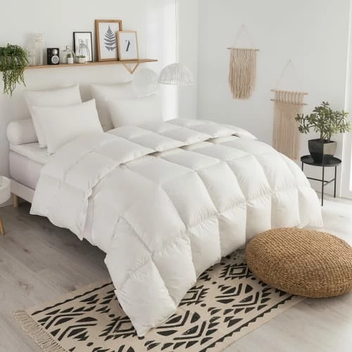 DODO Couette Duvet Tradition TEMPEREE - 70% Duvet D'Oie 200x200 Cm 2 DODO Couette Duvet Tradition TEMPEREE - 70% Duvet D'Oie 200x200 Cm – Image 2