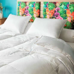 Couette Naturelle 2 En 1 Duvet D’oie Et Coton Bio King Size 300x250 -Doublures De Lit Soldes 2024 couette naturelle 2 en 1 duvet d oie et coton bio king size 300x250 3