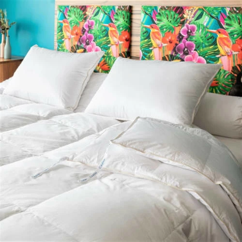 Couette Naturelle 2 En 1 Gonflante Duvet D’oie Et Coton Bio 240x220 3 Couette Naturelle 2 En 1 Gonflante Duvet D’oie Et Coton Bio 240x220 – Image 3