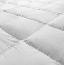 Couette PALAIS DES REVES - 70% Duvet D'oie - Tempérée 220x240 Cm -Doublures De Lit Soldes 2024 couette palais des reves 70 duvet d oie temperee 220x240 cm 2