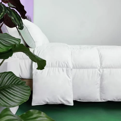 Couette TEMPEREE 40% Duvet - Coton 140x200 Cm 3 Couette TEMPEREE 40% Duvet - Coton 140x200 Cm – Image 3