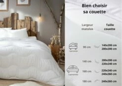Couette Très Chaude 200 X 200 Cm Polyester Blanc -Doublures De Lit Soldes 2024 couette tres chaude 200 x 200 cm polyester blanc 4