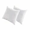 Lot De 2 Oreillers 60x60 Duvet & Plumes Mi-fermes