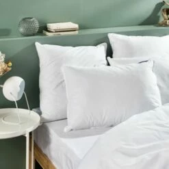 Lot De 2 Oreillers Anti-acariens Mémoire De Forme Mixte 50x70cm -Doublures De Lit Soldes 2024 lot de 2 oreillers anti acariens memoire de forme mixte 50x70cm 1