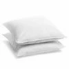 Lot De 2 Oreillers Anti-acariens Mémoire De Forme Mixte 60x60cm