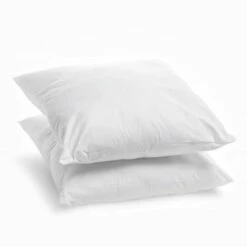 Lot De 2 Oreillers Moelleux Coton Bio 60x60cm