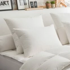 DODO Oreiller 50% Duvet ECO-RESPONSABLE FERME 50x70 Cm -Doublures De Lit Soldes 2024 oreiller 50 duvet eco responsable ferme 50x70 cm 1