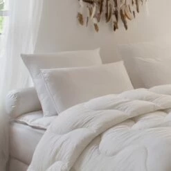 Oreiller Alaska 40% Duvet - FERME 60x60 Cm -Doublures De Lit Soldes 2024 oreiller alaska 40 duvet ferme 60x60 cm 1