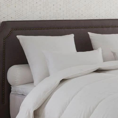 Oreiller Alaska 40% Duvet - MEDIUM 45x70 Cm 2 Oreiller Alaska 40% Duvet - MEDIUM 45x70 Cm – Image 2