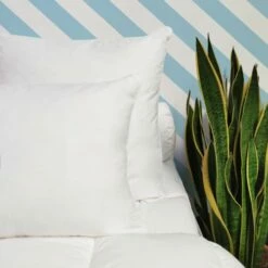 Oreiller FERME 10% Duvet Anti-acariens - Coton Bio 65x65 Cm -Doublures De Lit Soldes 2024 oreiller ferme 10 duvet anti acariens coton bio 65x65 cm 4