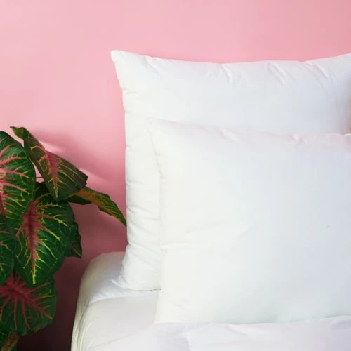 Oreiller FERME Extra-Doux - Coton Bio 60x60 Cm 5 Oreiller FERME Extra-Doux - Coton Bio 60x60 Cm – Image 5
