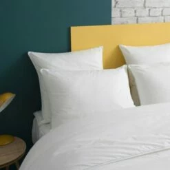Oreiller FERME Gonflant Durable - Coton Bio 60x60 Cm -Doublures De Lit Soldes 2024 oreiller ferme gonflant durable coton bio 60x60 cm 1