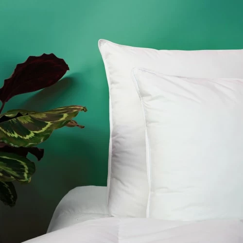 Oreiller FERME Sensation Duvet - Coton 60x60 Cm 5 Oreiller FERME Sensation Duvet - Coton 60x60 Cm – Image 5