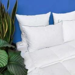 Oreiller MEDIUM 40% Duvet - Coton Bio 50x75 Cm -Doublures De Lit Soldes 2024 oreiller medium 40 duvet coton bio 50x75 cm 1
