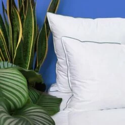 Oreiller MEDIUM 40% Duvet - Coton Bio 50x75 Cm -Doublures De Lit Soldes 2024 oreiller medium 40 duvet coton bio 50x75 cm 4