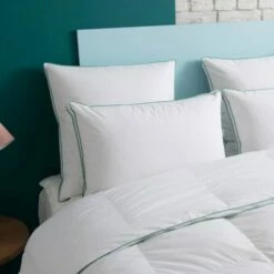 Oreiller MEDIUM 50% Duvet - Coton Bio 50x75 Cm -Doublures De Lit Soldes 2024 oreiller medium 50 duvet coton bio 50x75 cm 1