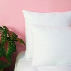 Oreiller MEDIUM Extra-Doux - Coton Bio 60x60 Cm -Doublures De Lit Soldes 2024 oreiller medium extra doux coton bio 60x60 cm 4