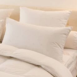 Oreiller Mélior - 5% Duvet Canard Et Oie - Ferme 45x70 Cm -Doublures De Lit Soldes 2024 oreiller melior 5 duvet canard et oie ferme 45x70 cm 1