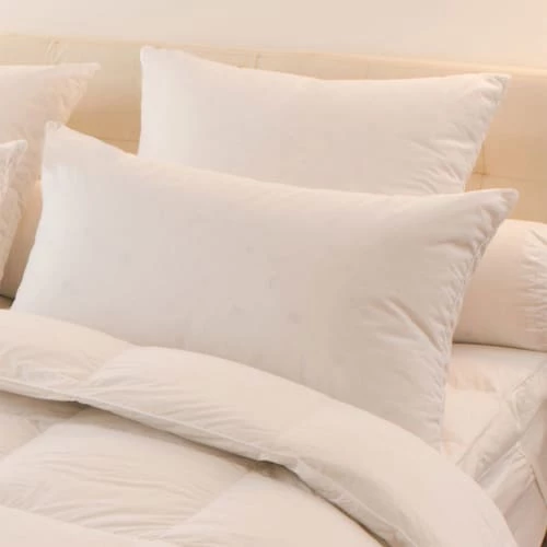 Oreiller Mélior - 5% Duvet Canard Et Oie - Ferme 65x65 Cm 2 Oreiller Mélior - 5% Duvet Canard Et Oie - Ferme 65x65 Cm – Image 2