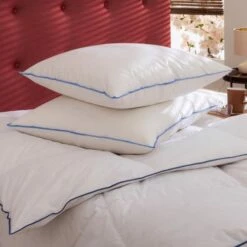 Oreiller Moelleux Duvet De Canard Antiallergènes 65x65 -Doublures De Lit Soldes 2024 oreiller moelleux duvet de canard antiallergenes 65x65 2