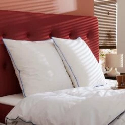 Oreiller Moelleux Duvet De Canard Antiallergènes 65x65 -Doublures De Lit Soldes 2024 oreiller moelleux duvet de canard antiallergenes 65x65 3