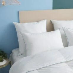 Oreiller MOELLEUX Préserve Les Océans - Coton Bio 60x60 Cm -Doublures De Lit Soldes 2024 oreiller moelleux preserve les oceans coton bio 60x60 cm 1