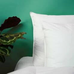 Oreiller MOELLEUX Sensation Duvet - Coton 50x70 Cm -Doublures De Lit Soldes 2024 oreiller moelleux sensation duvet coton 50x70 cm 4