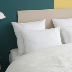 Oreiller MOELLEUX Toucher Duvet - Coton 50x70 Cm -Doublures De Lit Soldes 2024 oreiller moelleux toucher duvet coton 50x70 cm 1