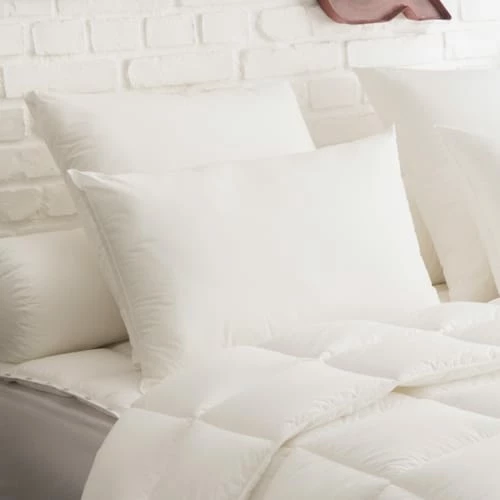 DODO Oreiller Ultraconfort MEDIUM 65x65 Cm 2 DODO Oreiller Ultraconfort MEDIUM 65x65 Cm – Image 2