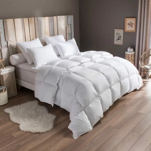 DODO Pack Duvet Couette Chaude + Oreiller -50% Duvet De Canard 200x200 Cm 2 DODO Pack Duvet Couette Chaude + Oreiller -50% Duvet De Canard 200x200 Cm – Image 2