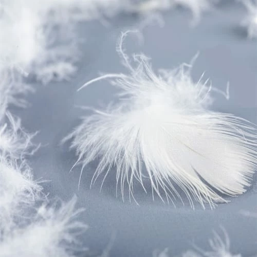 Traversin Naturel Mi-ferme En Plumes Et Duvet 180 Cm 5 Traversin Naturel Mi-ferme En Plumes Et Duvet 180 Cm – Image 5